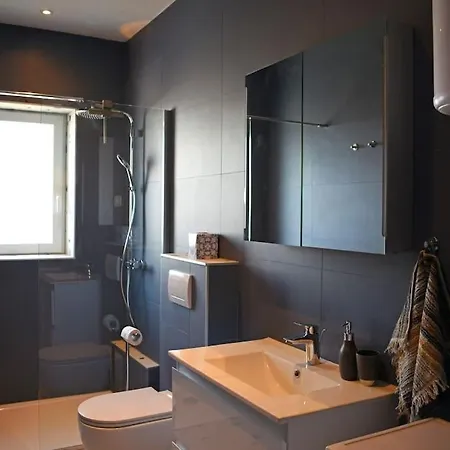 Apartment Mojmir Brodarica (Zadar)